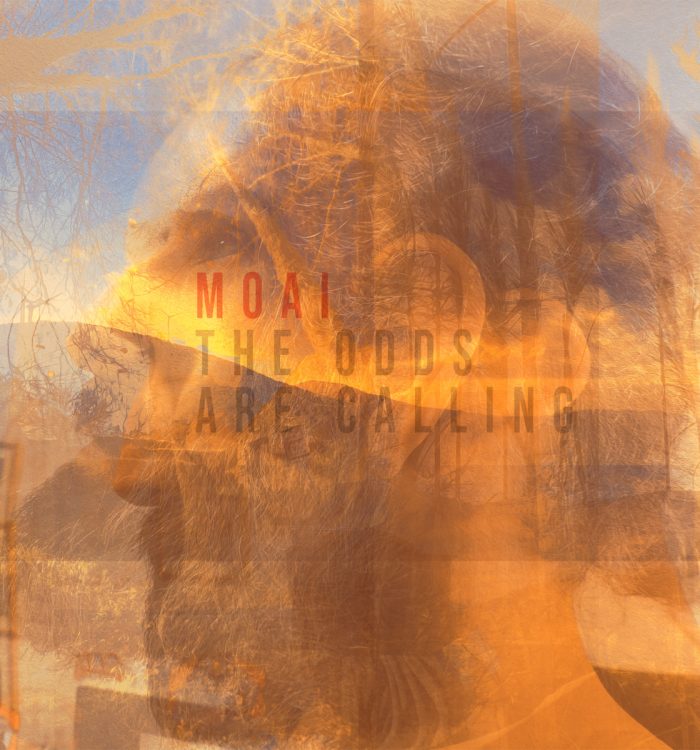 The Odds Are Calling – Álbum